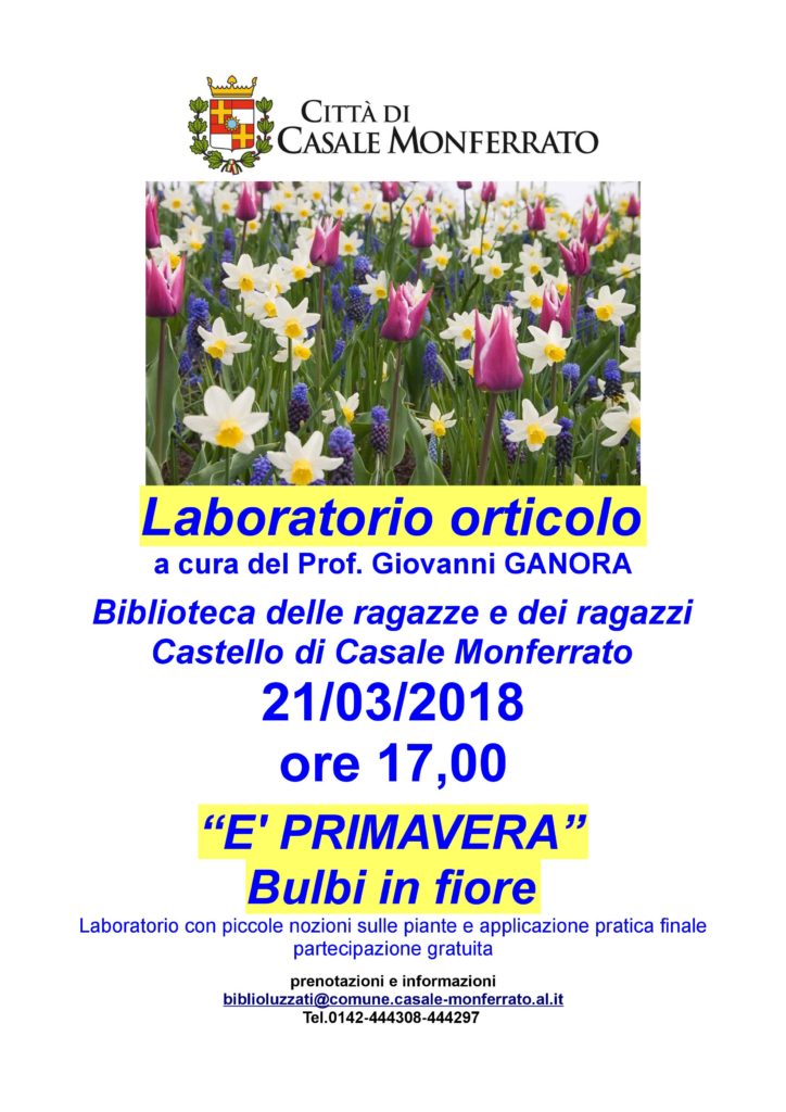 bicicletta casale monferrato